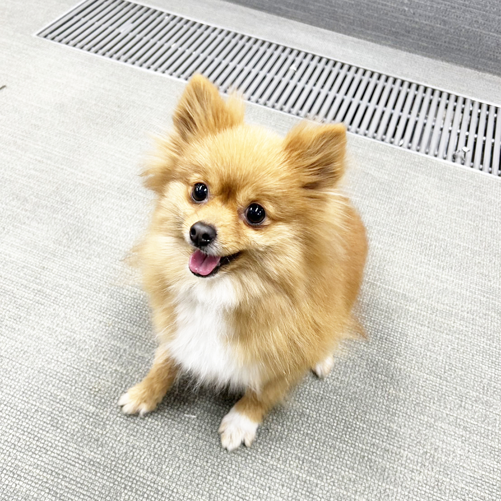 生徒が撮影してくれた写真♪②